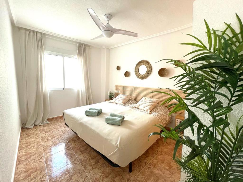 托雷维耶哈Apartamento Azzurro公寓 外观 照片